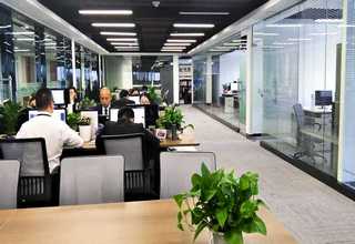 字画交易平台加盟哪个好