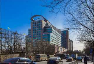 奉贤区绿色盆栽菜基地价格