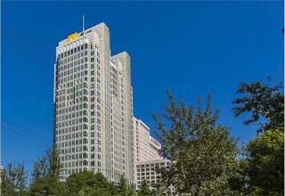 新绛树苗销售厂家