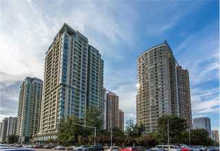 低压螺杆鼓风机价格