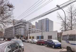 广西景观金属雕塑制作