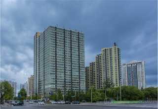 猫猫吃的宠物益生菌的作用